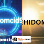 lomutao951 what is tehidomcid97 on
