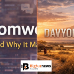qasweshoz1 davyomwez