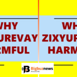 riproar tech news is zixyurevay dangerous