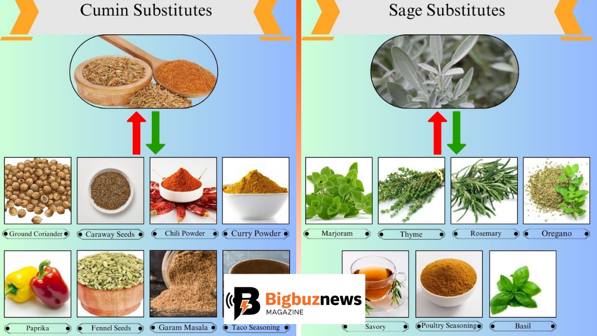 Can I Use Kutop-CS.536B? A Complete Expert Guide to Safety, Uses, and Considerations can i use kutop-cs.536b