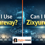 can i use zixyurevay